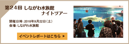 第24回 しながわ水族館ナイトツアー