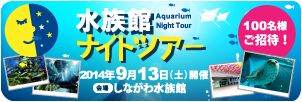 第５回 水族館ナイトツアー