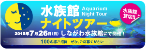 第８回　水族館ナイトツアー