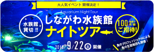 第24回 しながわ水族館 ナイトツアー