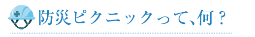 防災ピクニックって、何？