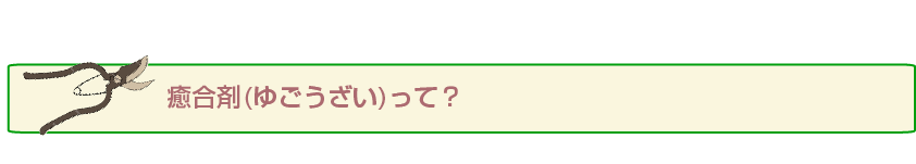 融合剤(ゆごうざい)って？